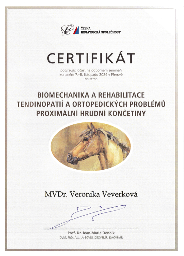 Certifikát z kurzu Biomechanika a rehabilitace