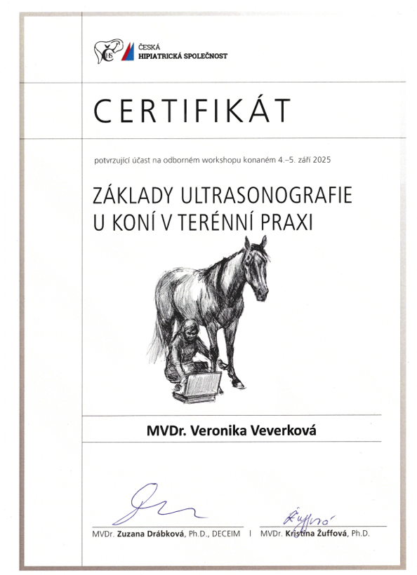 Certifikát Ultrasonografie
